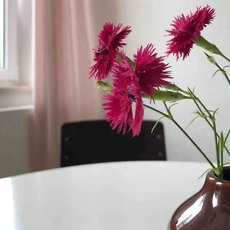 Leben Im Textilviertel - Stilvolle - Zentral Und Ruhig